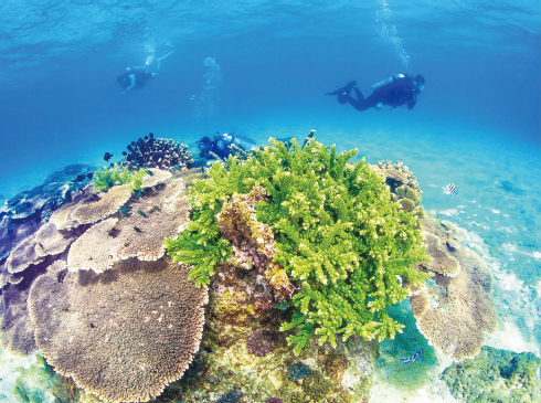 1652167040811950.png BaiduShurufa_2022-5-10_10-42-9.png