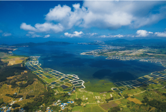 1652167099777979.png BaiduShurufa_2022-5-10_10-42-49.png