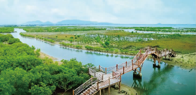 1652167122941789.png BaiduShurufa_2022-5-10_10-43-7.png