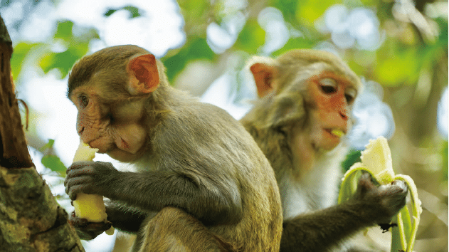 1652167174678340.png BaiduShurufa_2022-5-10_10-43-29.png