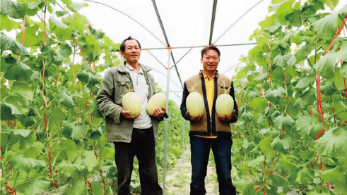 1652168440219200.png BaiduShurufa_2022-5-10_10-47-12.png