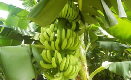 1652917342838003.png BaiduShurufa_2022-5-10_11-20-20.png