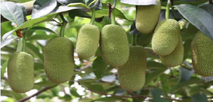 1652917404154427.png BaiduShurufa_2022-5-10_11-20-42.png