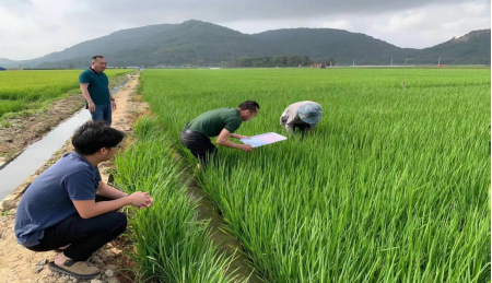 1652917653454355.png BaiduShurufa_2022-5-10_11-21-41.png