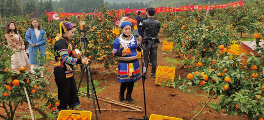 1667439396663533.png BaiduShurufa_2022-11-3_8-9-24.png