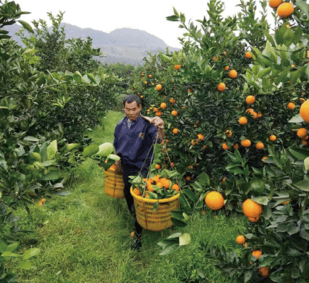 1667439931712534.png BaiduShurufa_2022-11-3_8-13-43.png