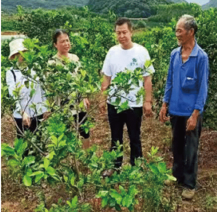 1667440049788752.png BaiduShurufa_2022-11-3_8-14-42.png