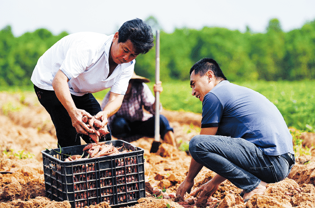 1673573458807696.png BaiduShurufa_2023-1-6_17-47-47.png