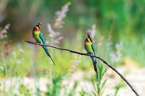 1673574881968165.png BaiduShurufa_2023-1-6_17-49-59.png