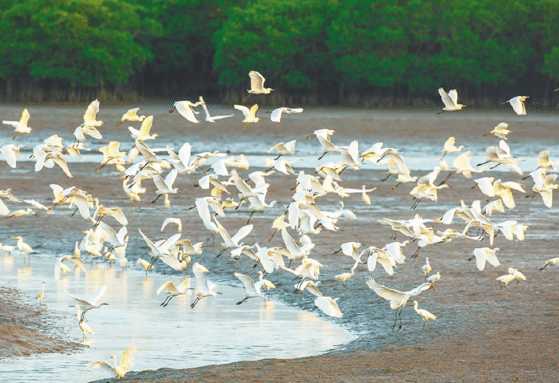 1676774303836832.png BaiduShurufa_2023-2-16_14-24-23.png