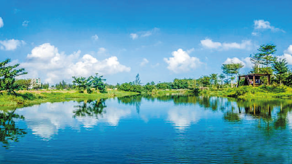 1677826445727488.png BaiduShurufa_2023-3-3_9-18-28.png