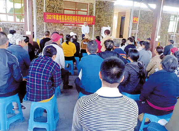 1677829444532680.png BaiduShurufa_2023-3-3_9-32-39.png