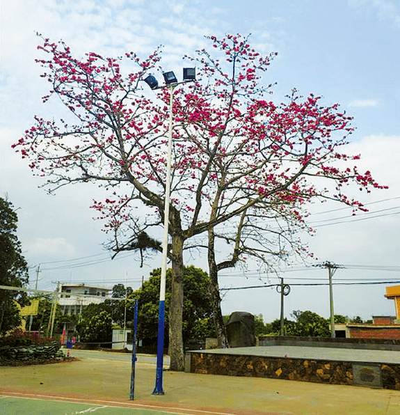 1677830507446310.png BaiduShurufa_2023-3-3_9-42-50.png